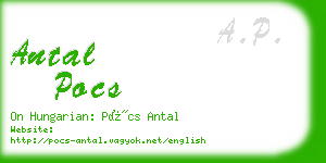 antal pocs business card